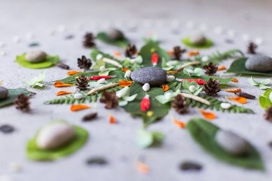 Stage de Yin Yoga, massage thaï et musique à Marsaz : mandala de feuilles et de pierres composé en nature